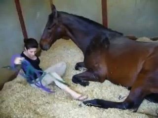 الفتاة والحصان sex stories.xxx