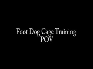 الكلب القدم بوف التدريب قفص