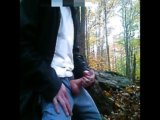 رعشة الخريف في الغابة